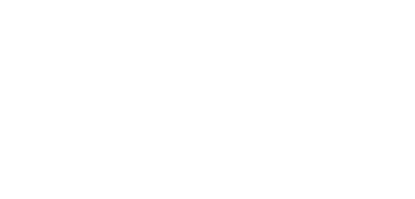 SMART ROLLBOARD